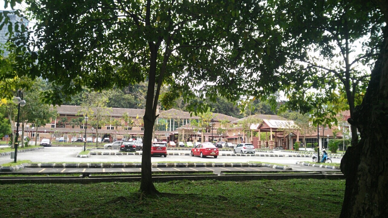Copa arbórea y borde sombreado cerca de la Faculty of Laws de la University of Malaya